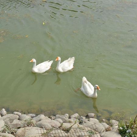 Karna Lake Tourist Resort Karnāl Dış mekan fotoğraf
